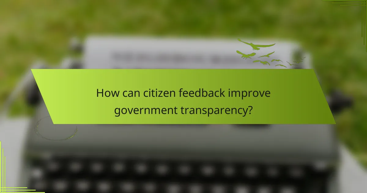How can citizen feedback improve government transparency?