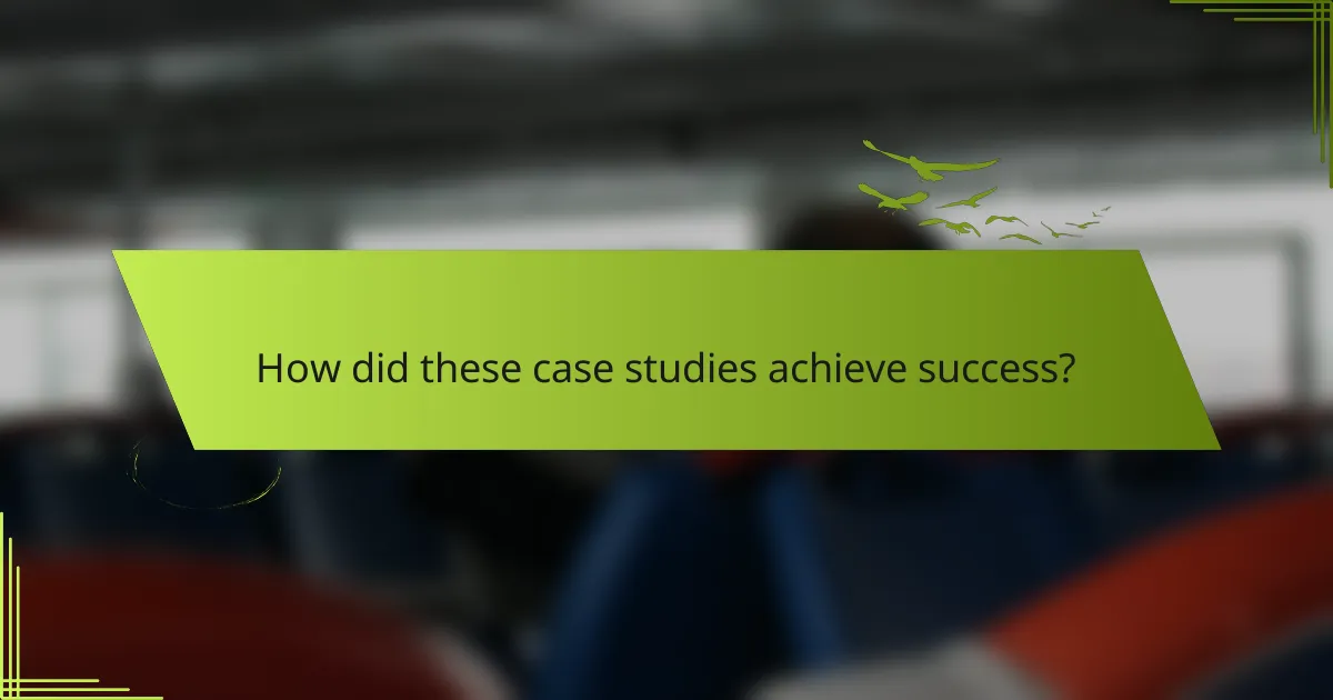 How did these case studies achieve success?