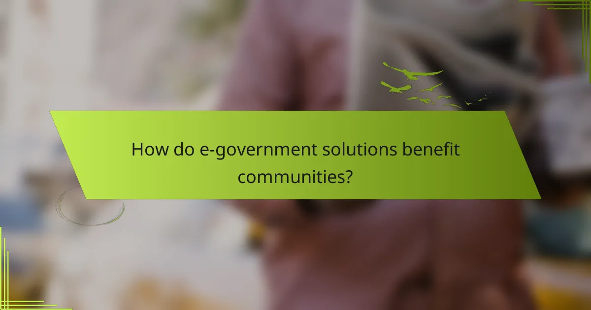 How do e-government solutions benefit communities?