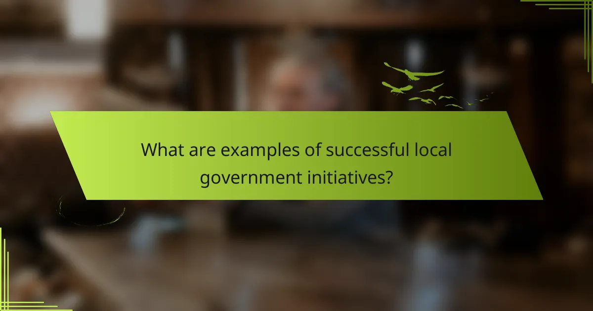 What are examples of successful local government initiatives?