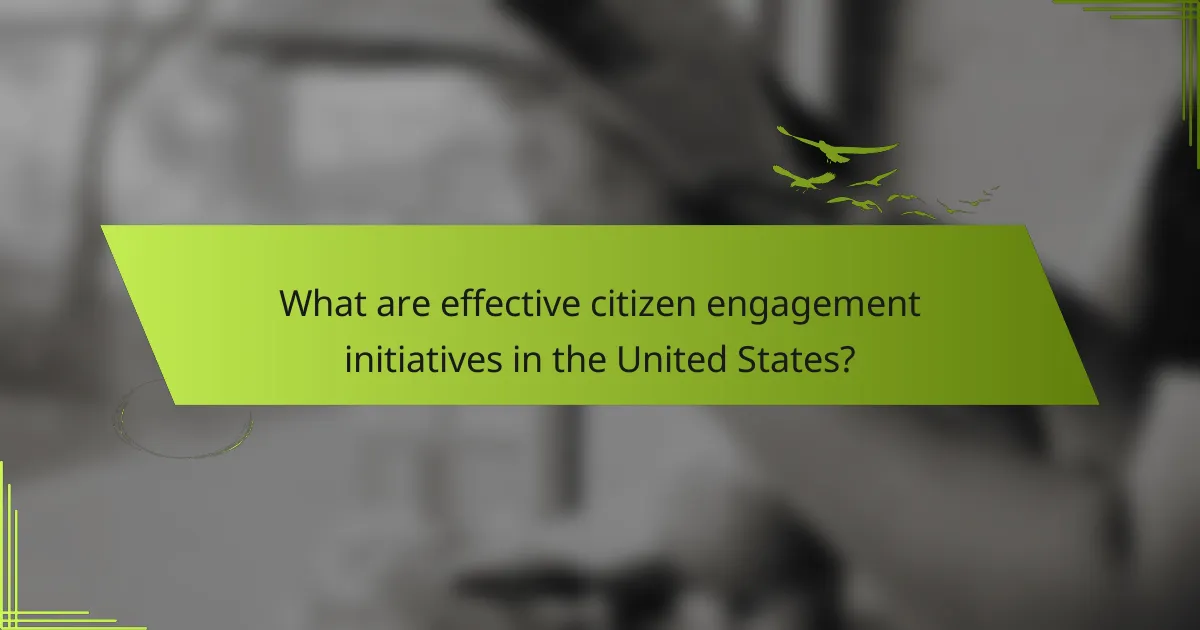 What are effective citizen engagement initiatives in the United States?