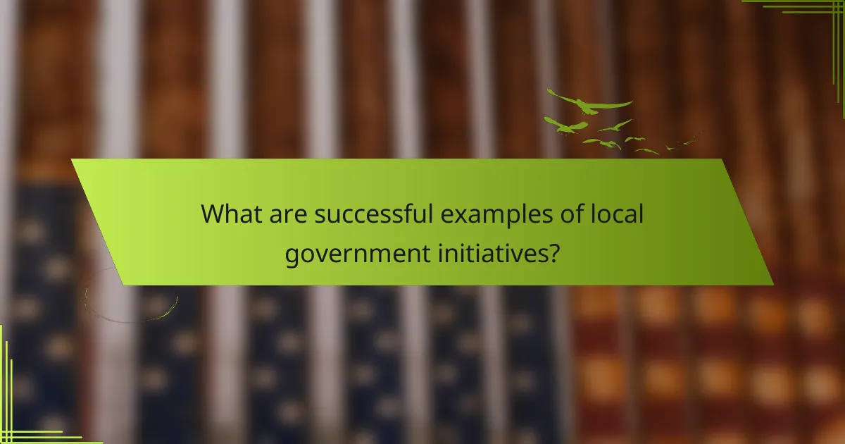 What are successful examples of local government initiatives?