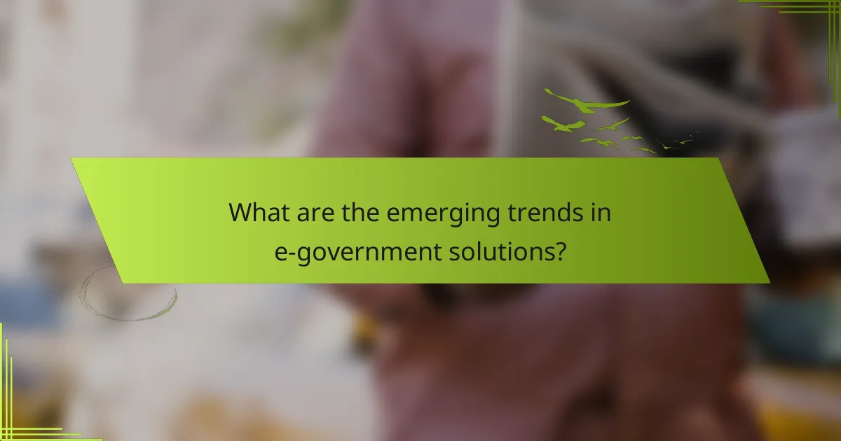 What are the emerging trends in e-government solutions?