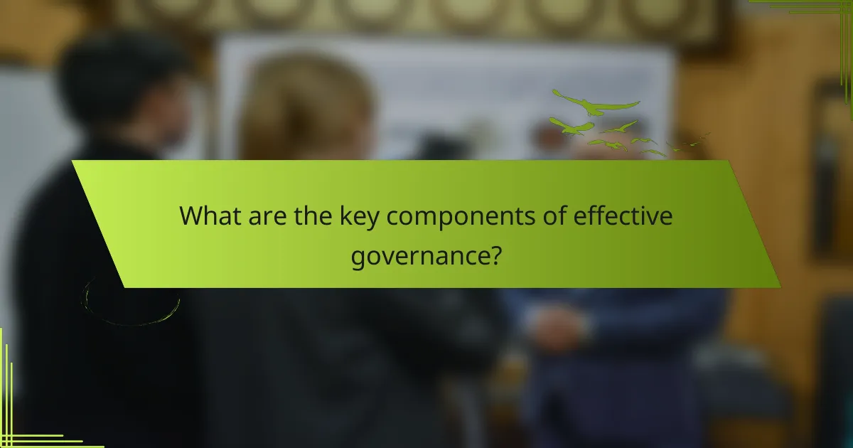 What are the key components of effective governance?