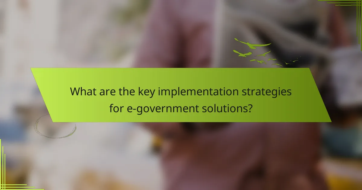 What are the key implementation strategies for e-government solutions?