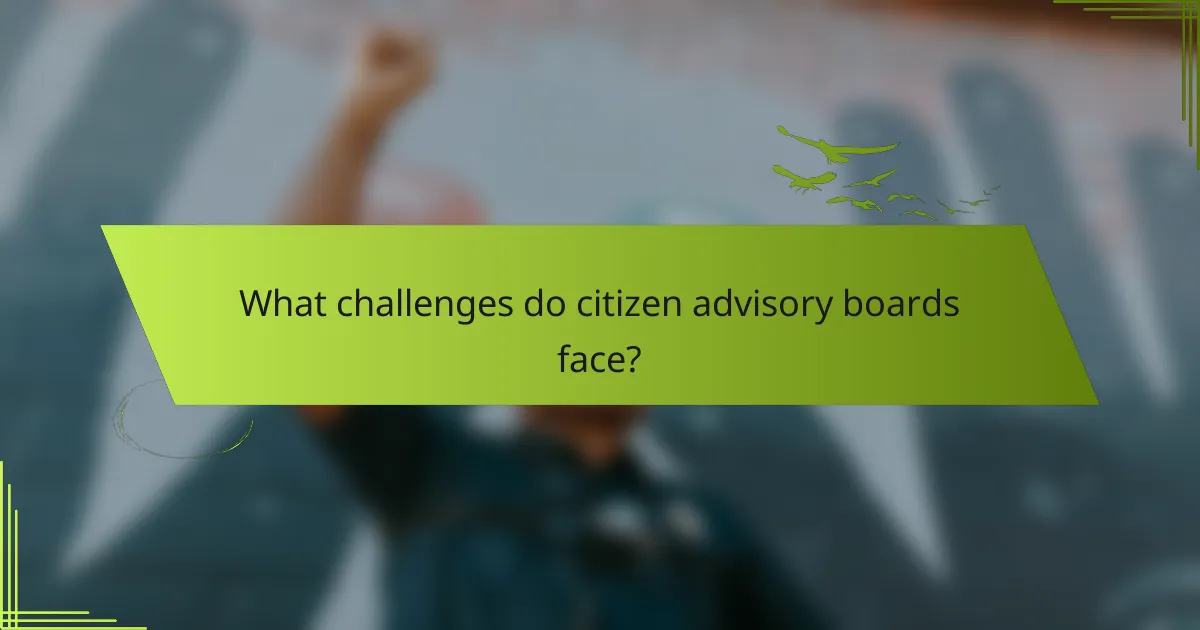 What challenges do citizen advisory boards face?