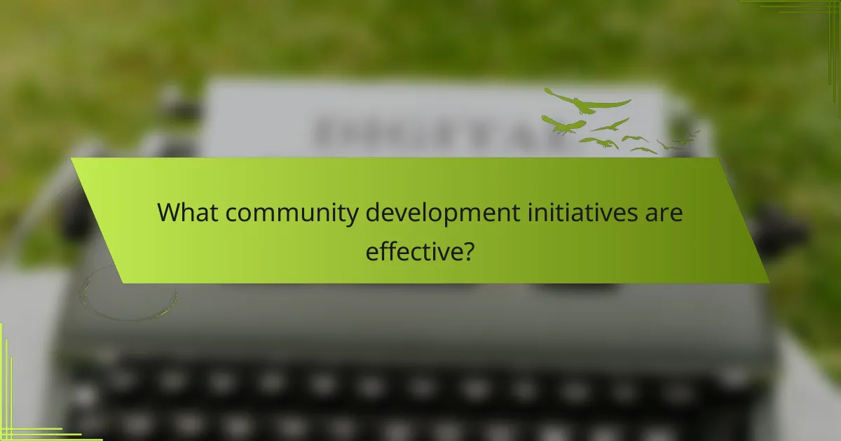 What community development initiatives are effective?