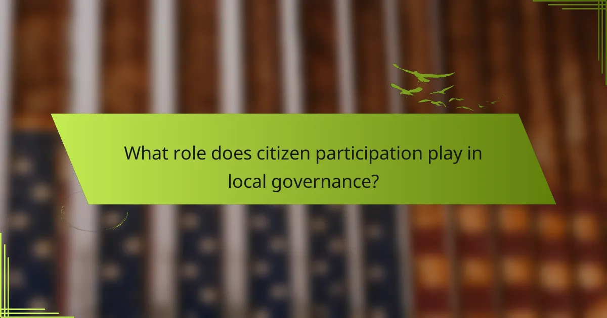 What role does citizen participation play in local governance?