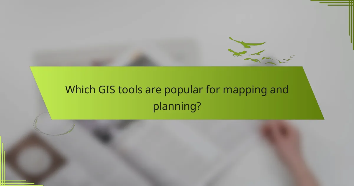 Which GIS tools are popular for mapping and planning?